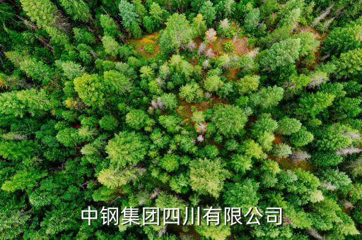 中鋼什么級別，中尉是什么等級