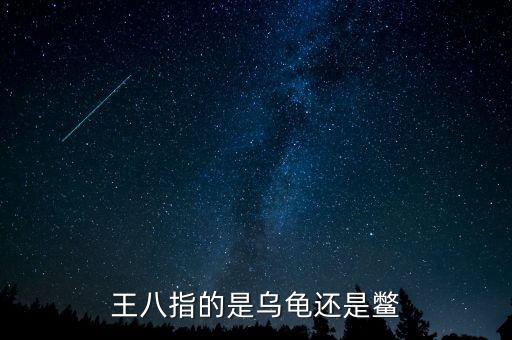 海王八指什么，什么是海王八