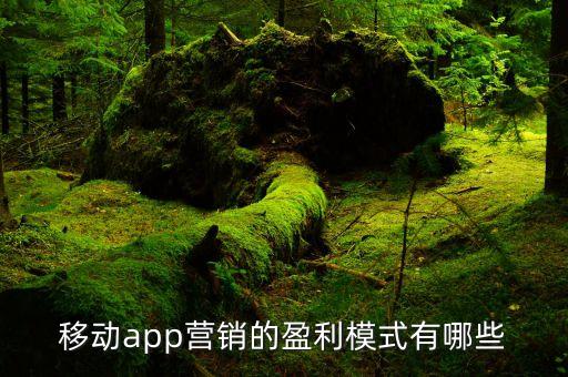 移動(dòng)app營(yíng)銷的盈利模式有哪些