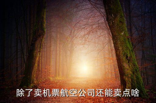 什么叫空地聯(lián)運(yùn)，昆明火車站候機(jī)