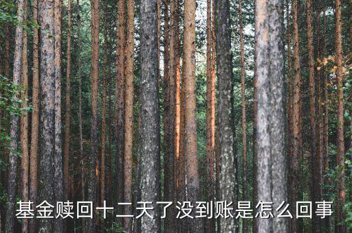 贖回成13天了為什么錢沒到賬，基金贖回成功了 為什么還沒到帳
