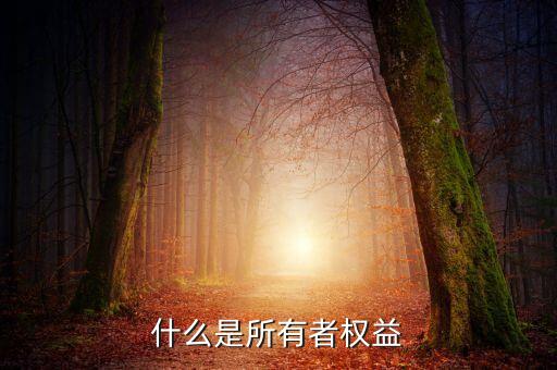 什么是所有者權益
