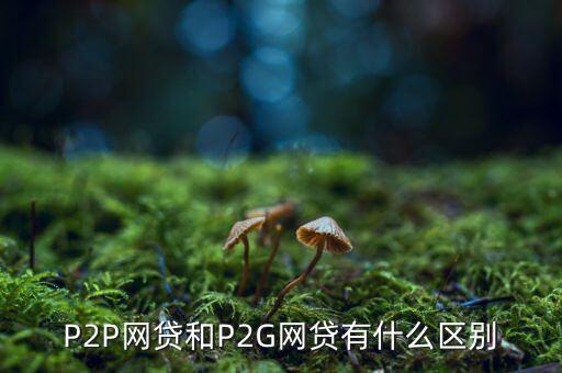 p2g與ppp有什么區(qū)別，P2G是什么意思