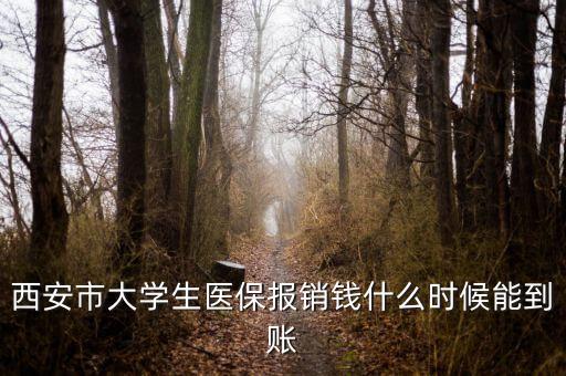 大學(xué)生醫(yī)保什么時候到賬，大學(xué)生武漢醫(yī)保報銷費(fèi)什么時候到帳啊