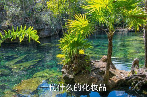 化妝品代領什么意思，代理化妝品怎么回事是怎么賺錢的