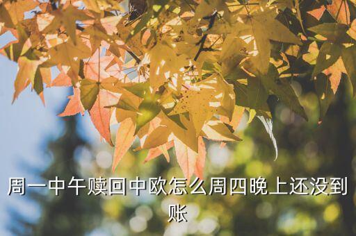 周一中午贖回中歐怎么周四晚上還沒(méi)到賬