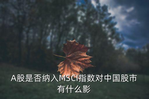 加入明晟指數(shù)有什么用，中國(guó)A股納入明晟會(huì)有什么影響