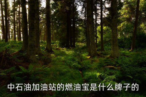珠海中國石油里賣的是什么燃油寶，燃油寶是什么網上有得賣嗎