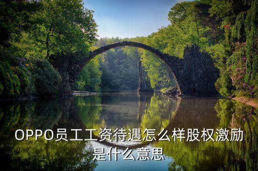 全員持股什么意思，OPPO員工工資待遇怎么樣股權激勵是什么意思