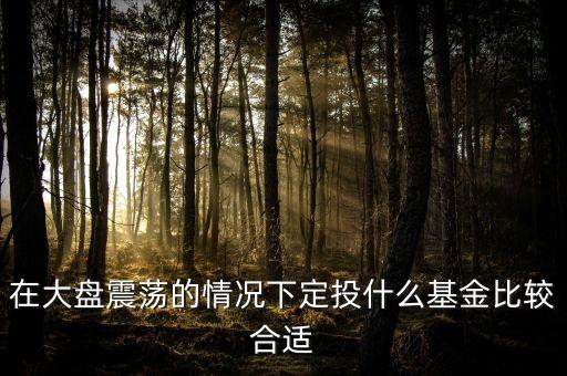 大盤調(diào)整買什么基金好，在大盤震蕩的情況下定投什么基金比較合適