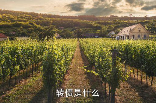 浙能轉(zhuǎn)債是什么，浙能電力轉(zhuǎn)債贖回兌付摘牌是利好還是利空