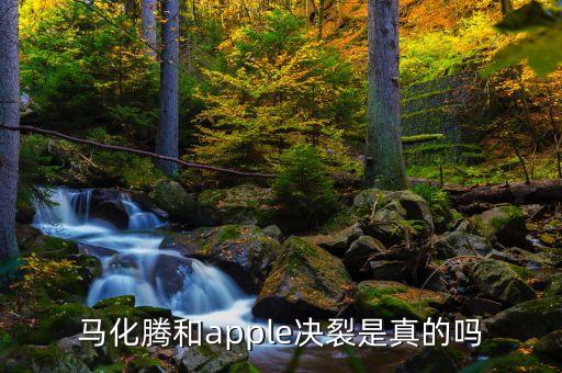 馬化騰為什么不干了，為什么馬化騰做不了中國(guó)第一富