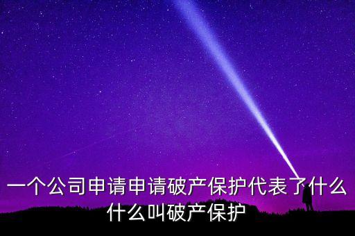 申請破產(chǎn)保護(hù)是什么意思，破產(chǎn)保護(hù)是什么意思
