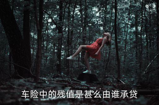 車險(xiǎn)中的殘值是甚么由誰(shuí)承貸