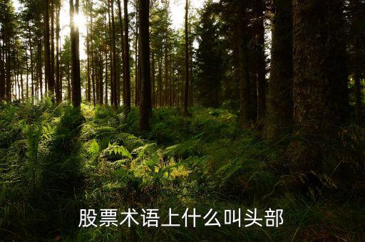 什么是股票頭部，股票術(shù)語上什么叫頭部