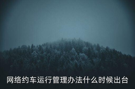 出租車改革什么時候公布，國家對出租車有什么政策改革方案