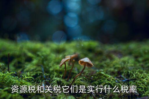 資源稅采用什么稅率，資源稅的計稅依據(jù)是什么稅率是多少