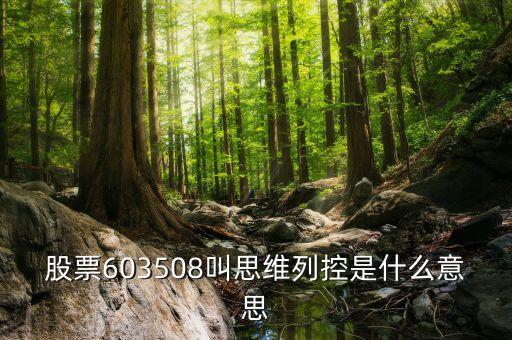 思維列控是做什么的，新股思維列控603508發(fā)行價(jià)是多少