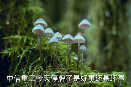 中信重工什么時(shí)候復(fù)牌，中信重工今天停牌了是好事還是壞事