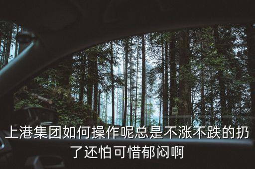 上港集團(tuán)什么級(jí)別，上港集團(tuán)振東集裝箱碼頭分公司的介紹