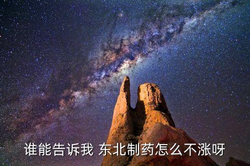 東北制藥為什么不漲，002251為什么不漲是不是公司出問題了