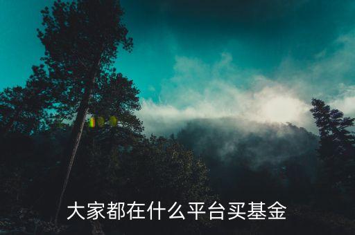 什么網(wǎng)買基金，大家都在什么平臺買基金