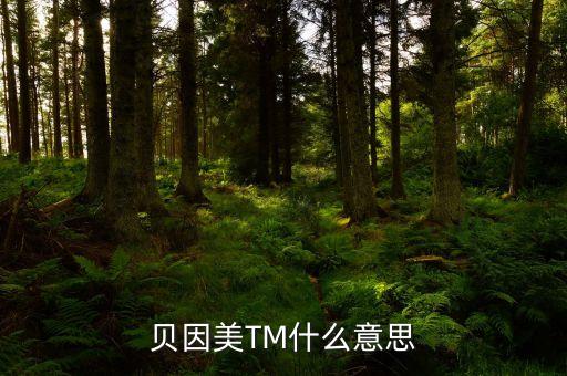 貝因美尾盤1多手什么意思，貝因美TM什么意思