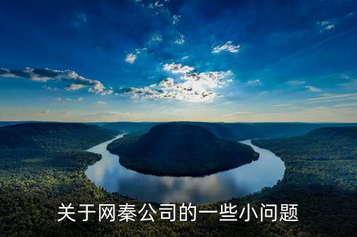 網(wǎng)秦為什么更換獨(dú)立審計，網(wǎng)秦到底怎么了