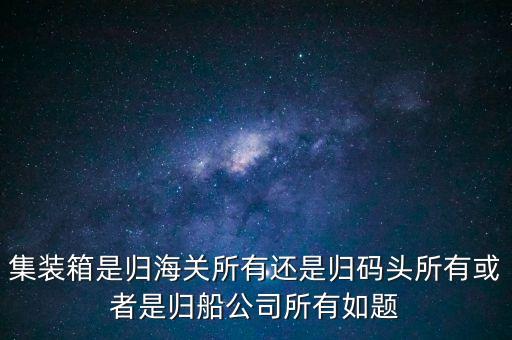 重慶長江輪船公司集裝箱分公司屬于什么性質(zhì)，集裝箱是船公司的么