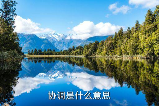 全球協(xié)調(diào)人是什么意思，協(xié)調(diào)是什么意思