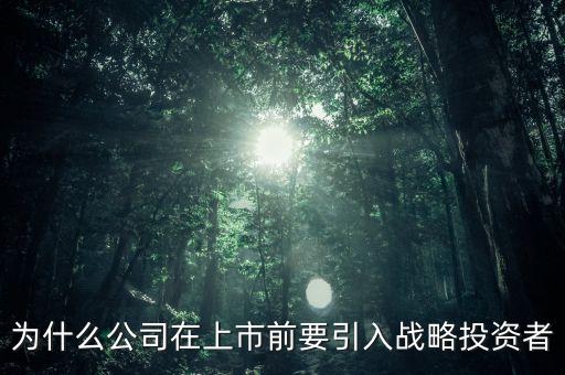 上市為什么要引入風投，為什么公司在上市前要引入戰(zhàn)略投資者