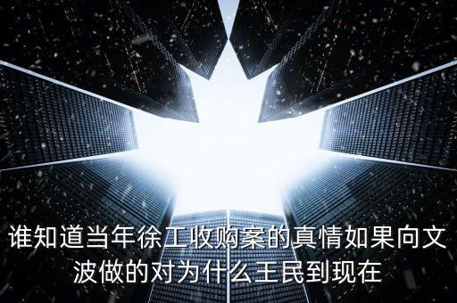 誰知道當年徐工收購案的真情如果向文波做的對為什么王民到現在