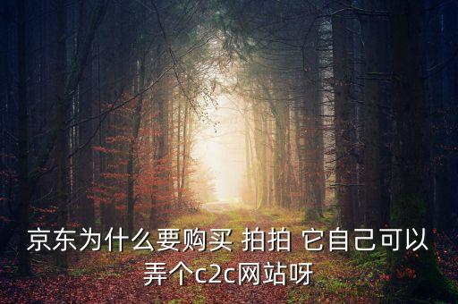 京東為什么要購(gòu)買 拍拍 它自己可以弄個(gè)c2c網(wǎng)站呀