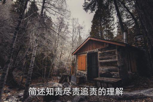什么是追責(zé)，簡述知責(zé)盡責(zé)追責(zé)的理解