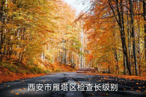 西安市正局級(jí)是什么級(jí)別，碑林分局局長級(jí)別是什么級(jí)別