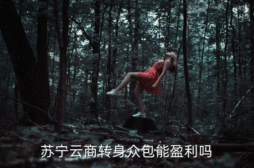 蘇寧眾包什么時(shí)候上線，蘇寧云商轉(zhuǎn)身眾包能盈利嗎