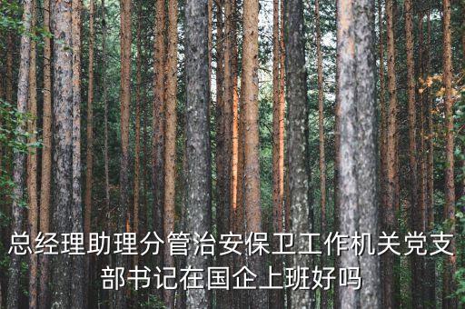 國(guó)企書(shū)記干什么的，總經(jīng)理助理分管治安保衛(wèi)工作機(jī)關(guān)黨支部書(shū)記在國(guó)企上班好嗎