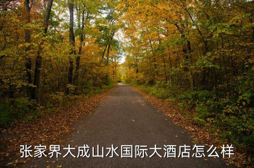 大成山水國(guó)際酒店毛致平是個(gè)什么人，大成山水老總毛致平是哪年出生的