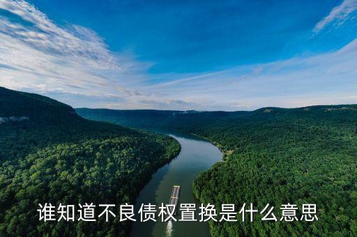 什么是不良資產(chǎn)置換，誰知道不良債權(quán)置換是什么意思
