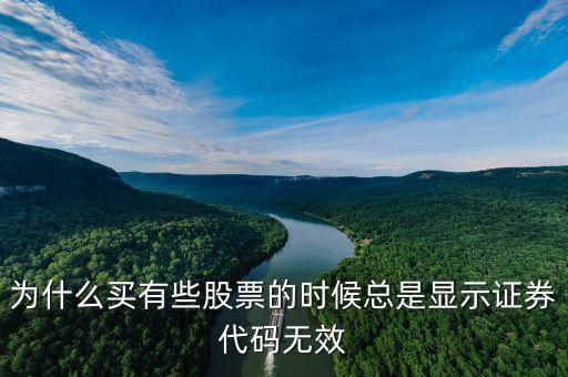 證券代碼無效什么意思，為什么買有些股票的時候總是顯示證券代碼無效