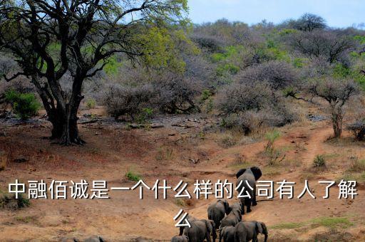 中融信誠(chéng)是做什么的，中融佰誠(chéng)是一個(gè)什么樣的公司有人了解么