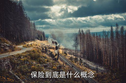 保險(xiǎn)究竟是什么，保險(xiǎn)到底是什么概念