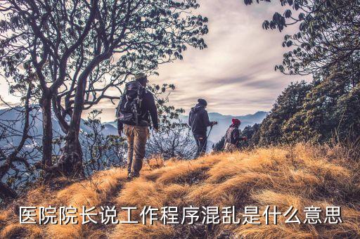 醫(yī)院院長(zhǎng)說工作程序混亂是什么意思