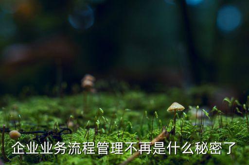 流程管理的亂象是什么，企業(yè)業(yè)務流程管理不再是什么秘密了
