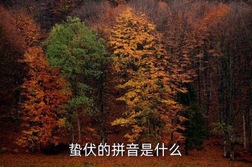 人的蟄伏期是什么，寂寂人定初中的人定是什么時候用天干地支中的回答相當(dāng)