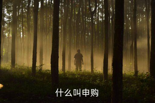 打新申購(gòu)什么意思，什么叫申購(gòu)