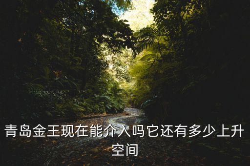 2015青島金王什么概念，青島金王現(xiàn)在能介入嗎它還有多少上升空間
