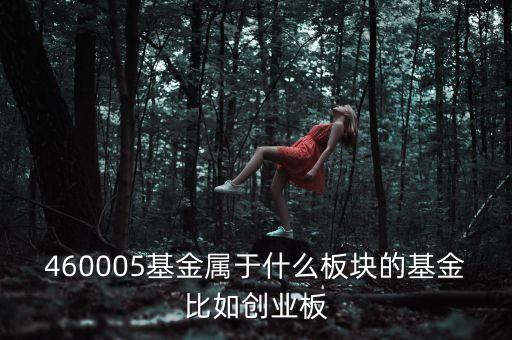 富國天益價值重倉什么板塊，460005基金屬于什么板塊的基金比如創(chuàng)業(yè)板