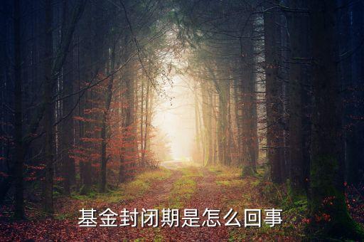 封閉式基金為什么要封閉，為什么認(rèn)購基金要封閉期封閉期是3個月內(nèi)不得提現(xiàn)