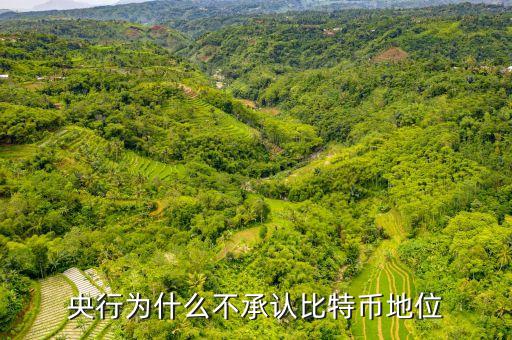 為什么中央不承認(rèn)比特，中美為什么不承認(rèn)比特幣的合法性
